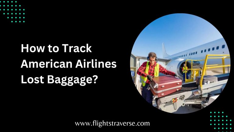 How to Track American Airlines Lost Baggage?