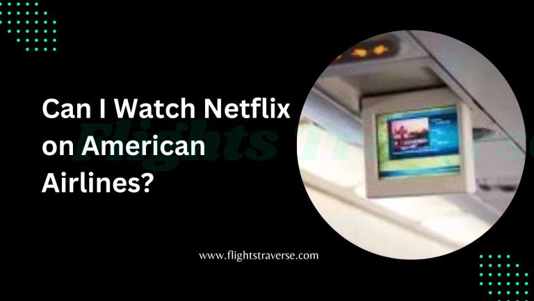 Can I Watch Netflix on American Airlines?