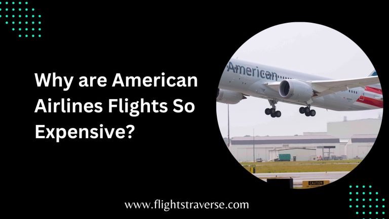 Why are American Airlines Flights So Expensive?