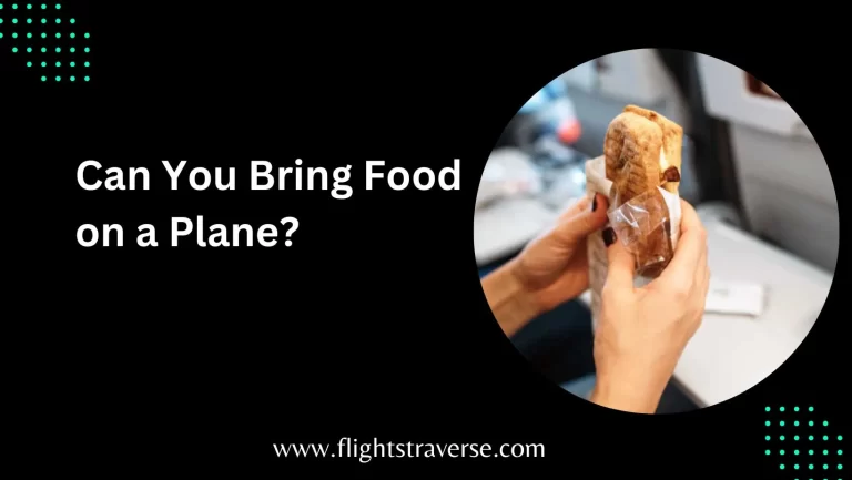 What Food is Allowed on a Plane?