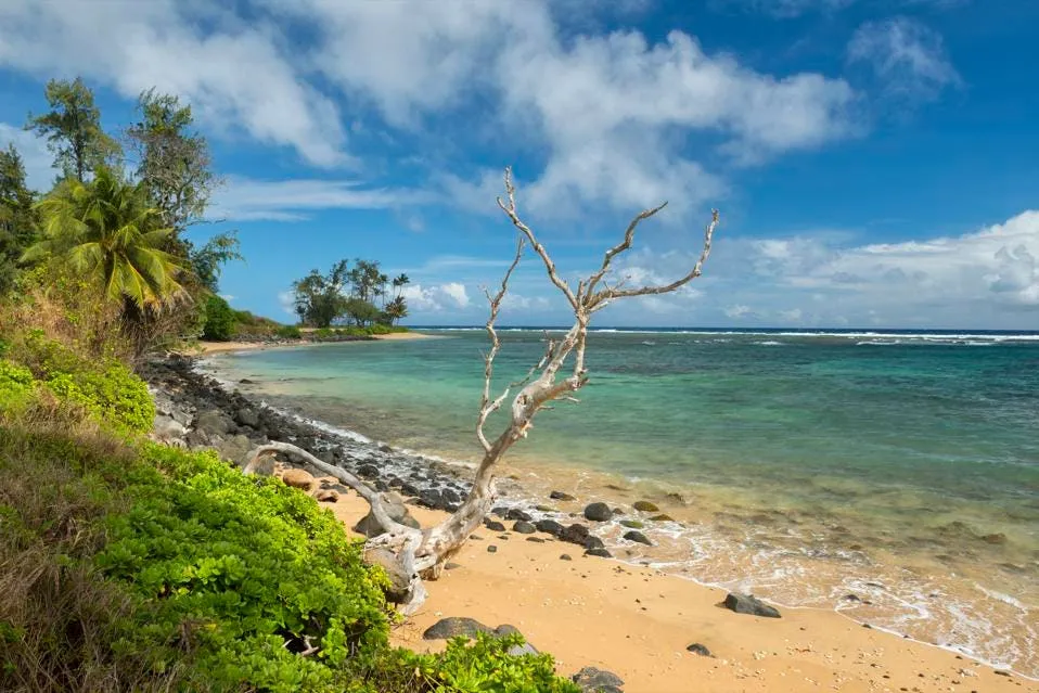 best hawaiian island to visit